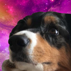tchieukogh's Avatar'