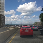 greendragon181's Avatar