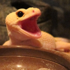 DeepInsane88's Avatar