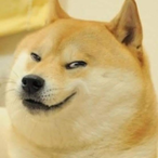 ambatufakinnut's Avatar'