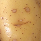 rickenthusiast's Avatar'