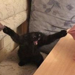 TitanPack-'s Avatar'