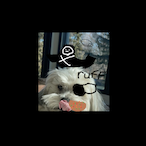 DynoBadAtSeige's Avatar'