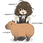 WetCoconutDoggy's Avatar'