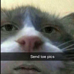 GuelleRobbie's Avatar'