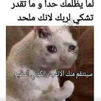 musk.Saltybruh's Avatar'