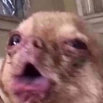 DeadSoul32's Avatar'