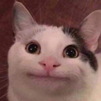 PigletMandu's Avatar'
