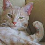 Deuxif-RaiN's Avatar'