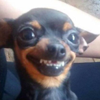 VonteCGV's Avatar'