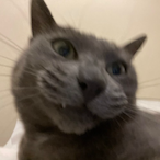 dungoen.'s Avatar'