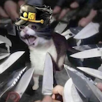 JoeDiGsIt's Avatar'