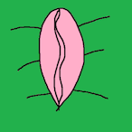 Tatundee_RUS's Avatar'