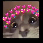 Mesljean_'s Avatar'