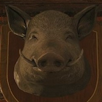 ISuckSiegeDih's Avatar'