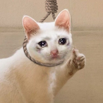 Kirkafied41's Avatar'