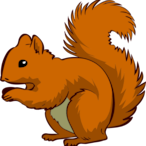 SquirrelRog's Avatar'