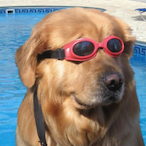 PoisonTrxx's Avatar'