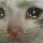 brandon___n's Avatar'