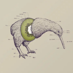 LucasTheKiwi's Avatar'