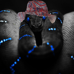 Thecatmaster115's Avatar'