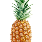 Mr.PineAppIe's Avatar'