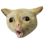 TinyHandss's Avatar'