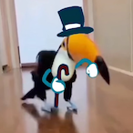 krrrokodyl's Avatar'