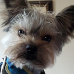 ChingoBling254's Avatar'