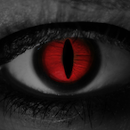 MrFordShelby's Avatar