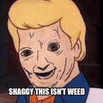 futuresauce2204's Avatar'