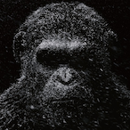 KGkuzi's Avatar'