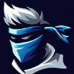 Ninja's Avatar'