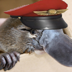 MrPl4typus's Avatar'