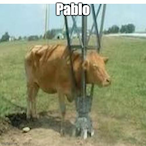 H0m0Fuerst's Avatar'