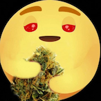 aLiuQeTnomeL's Avatar'
