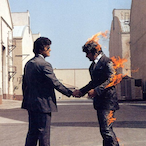 MelIonCollie's Avatar'