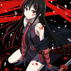 Akame_o's Avatar'